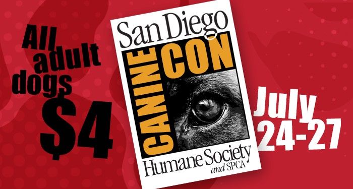 photo Comic Con 2014