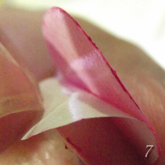 photo Sem-tiacutetulo-3_zps75b32854.gif