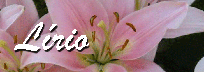 5c2ca1eb.gif