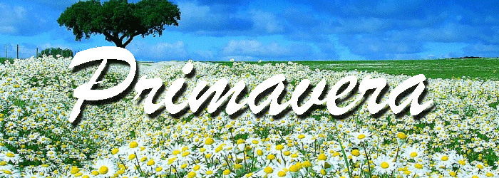 a054a12e.gif