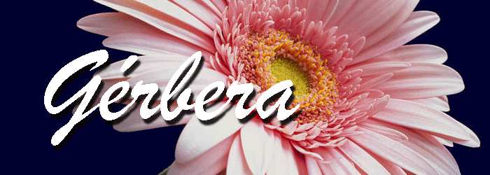 b622a7de.gif