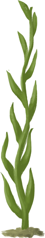 SeaweedRightSmall_zpsdef24512.png