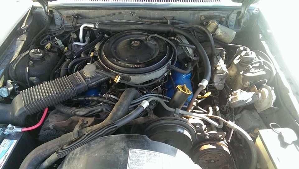 Looking For 1983 3 8l V6 Engine Pics And  Or Vacuum Diagram S
