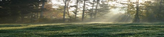 http://i1154.photobucket.com/albums/p530/TheFourClans/enlighted_meadow_7_by_selvastock-d4mvbqm.jpg