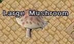 LargeMushroom.jpg