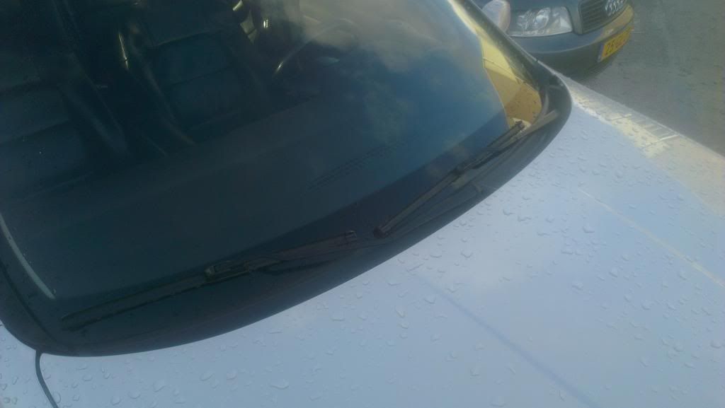 IMAG0076.jpg