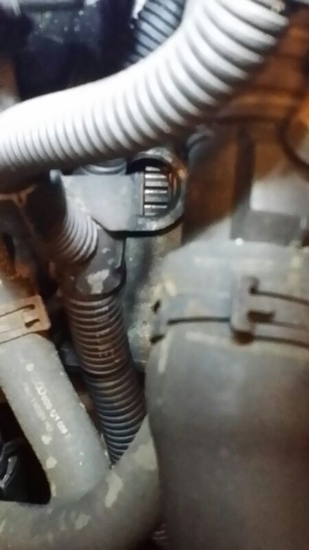 IMG-20140209-WA0006_zps88c83677.jpg