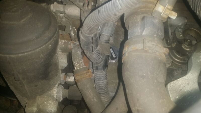 IMG-20140211-WA0018_zps93f81338.jpg