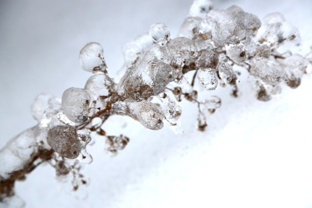 icestorm photo icestorm20_zpsa43043ac.jpeg
