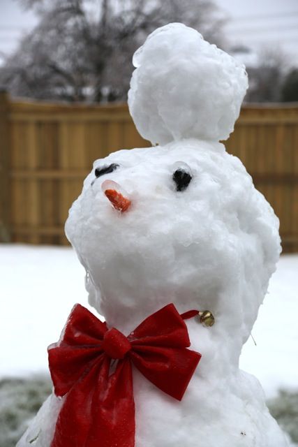 snowman photo icestorm21_zps70cb8c52.jpeg