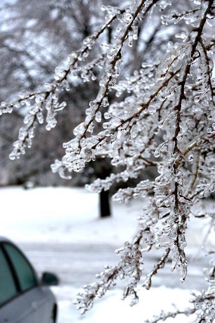icetree photo icestorm3_zps7b126b19.jpeg