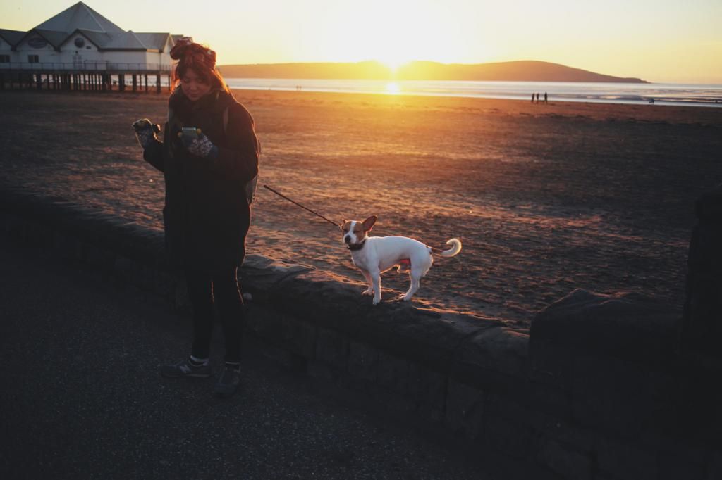 weston super mare winter beach seafront