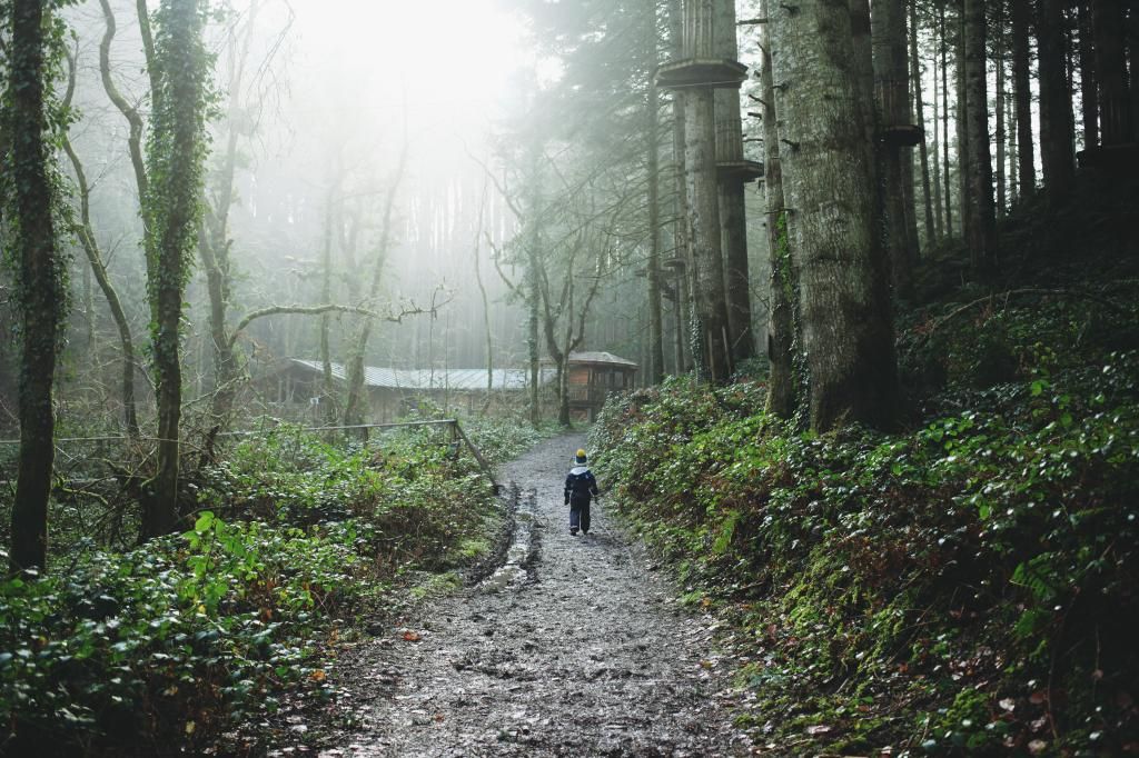 bluestone wales park resort camp smokey steep ravine