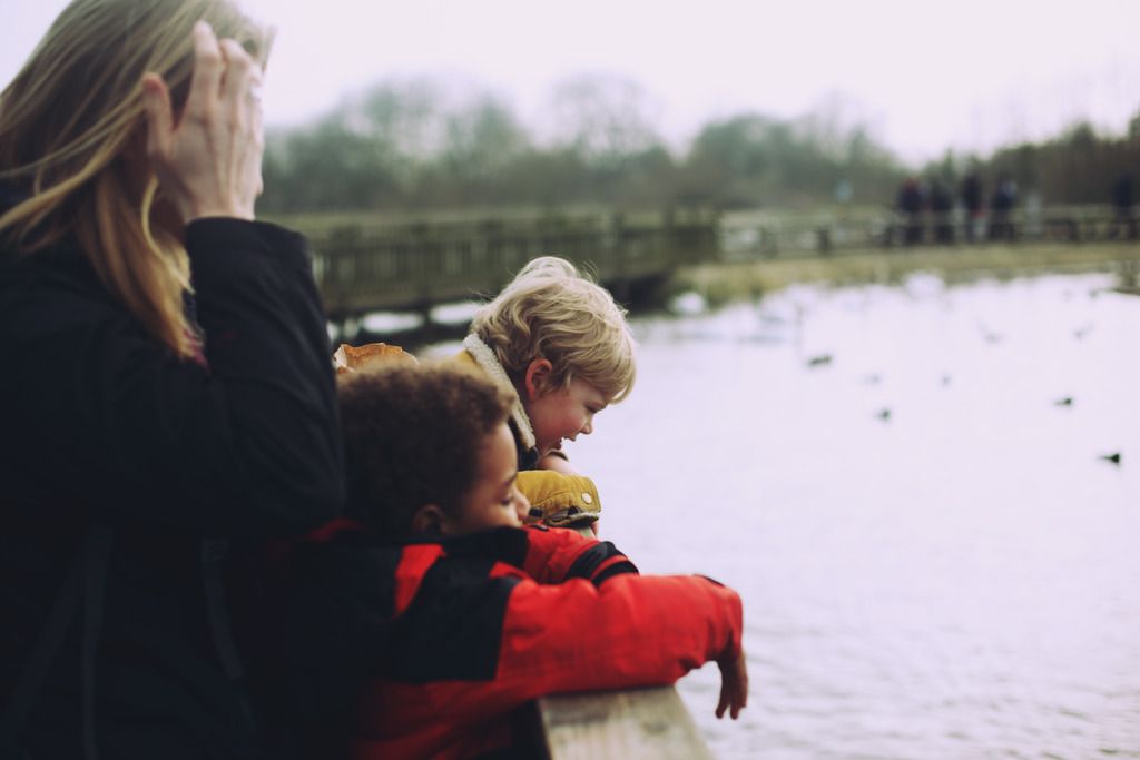 Slimbridge wetland centre