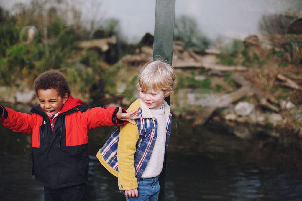 Slimbridge wetland centre