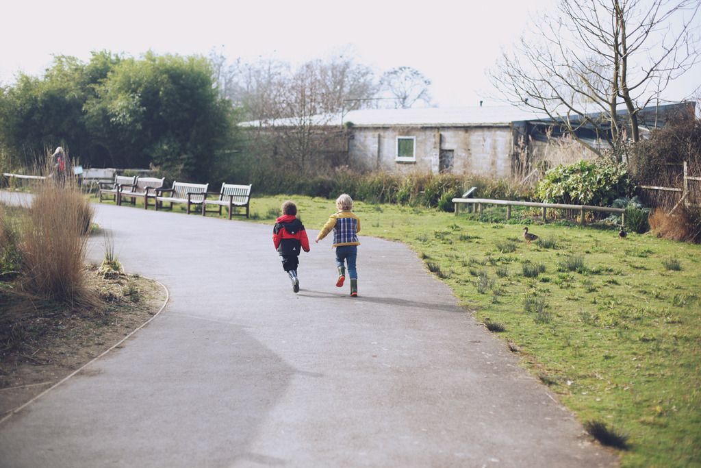 Slimbridge wetland centre