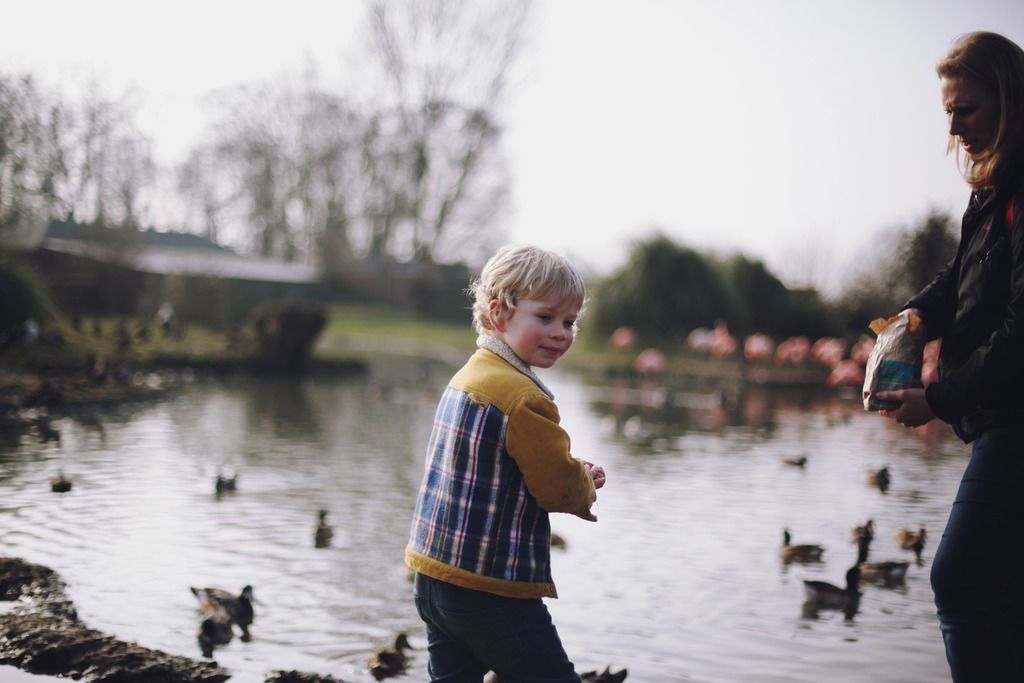 Slimbridge wetland centre