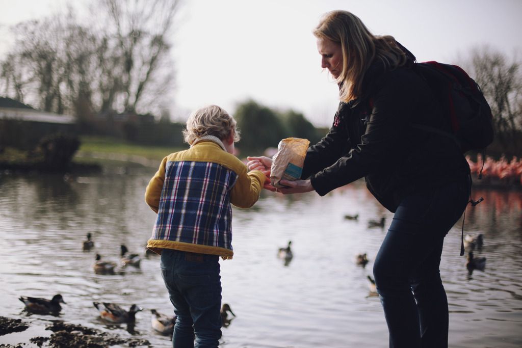 Slimbridge wetland centre