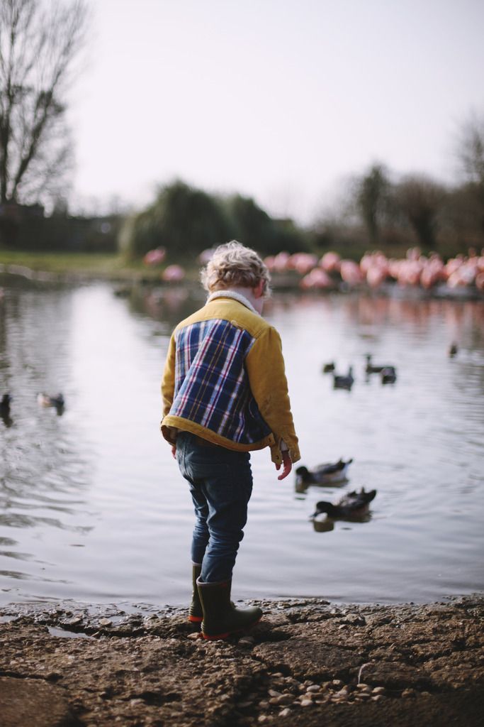 Slimbridge wetland centre