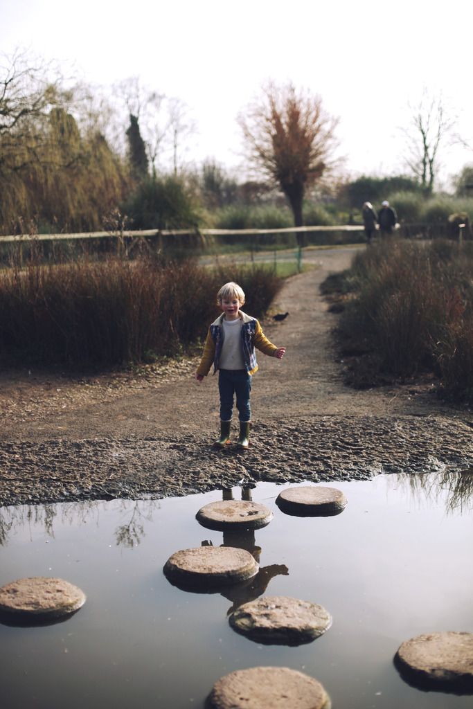 Slimbridge wetland centre