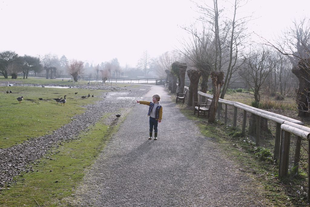 Slimbridge wetland centre